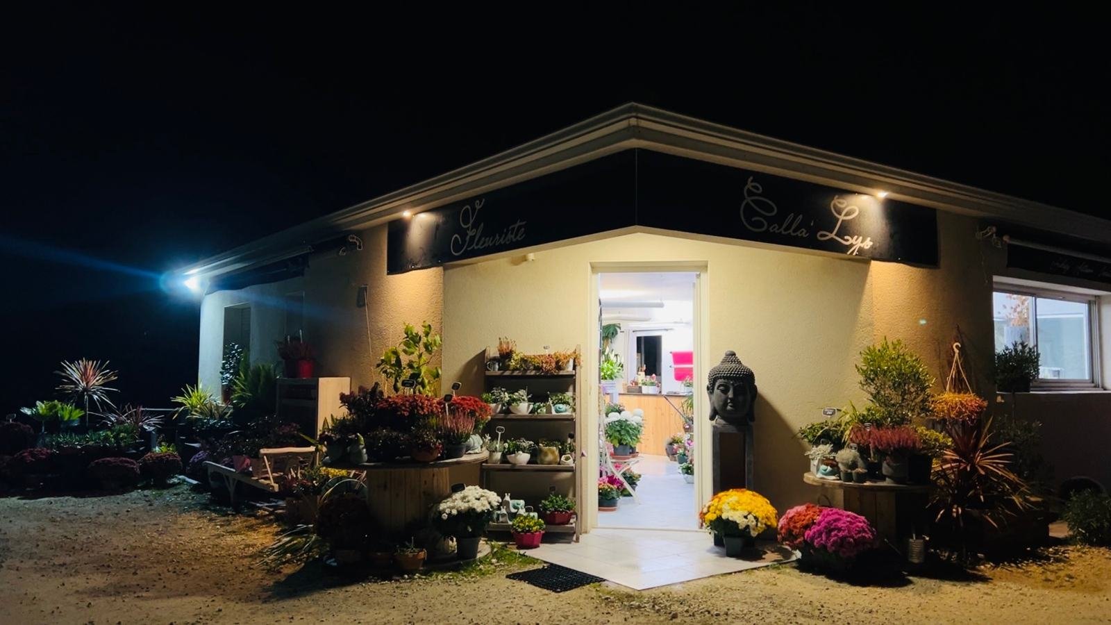 Éclairage connecté installé à Royan